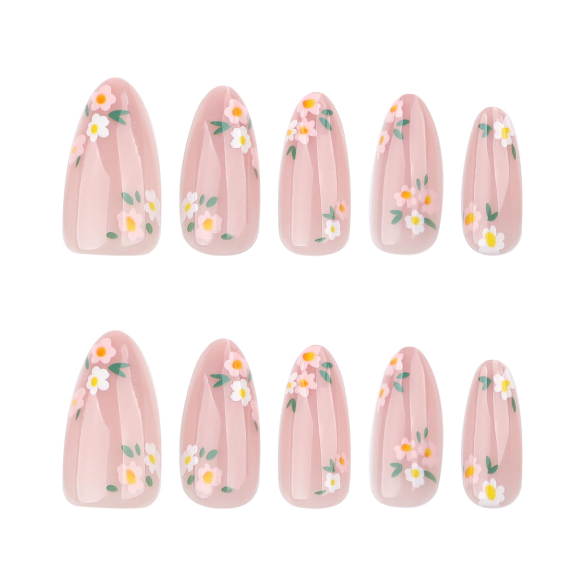 Spring Flowers